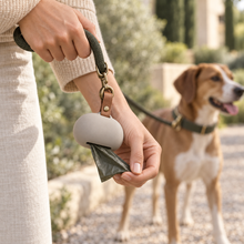 Pebble waste bag holder clipped to a leash during a dog walk
