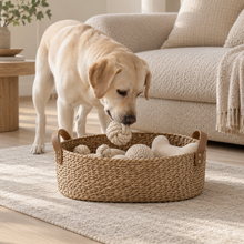 Woven Toy Basket organizing pet toys in a calm living space