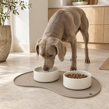 Sculpted Feeding Mat beneath pet bowls in a modern home