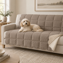 Washed Linen Sofa Throw protecting a sofa in a pet-friendly home