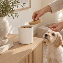 Stoneware Treat Canister styled in a warm modern kitchen