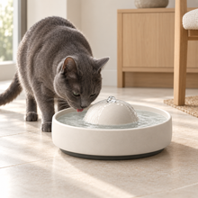 Cat drinking from the Luna Ceramic Water Fountain in a calm home setting