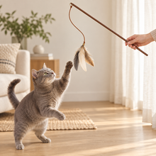 Cat playing with the Featherline Teaser Wand during supervised interactive play